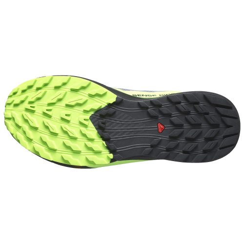 Salomon кроссовки мужские Sense ride 5 gtx