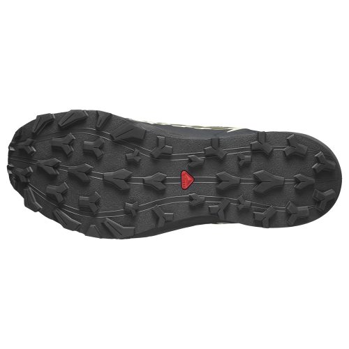 Salomon кроссовки мужские Thundercross Gtx
