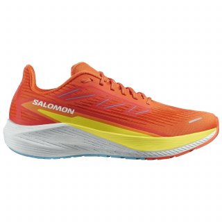 Salomon кроссовки мужские Aero Blaze 2