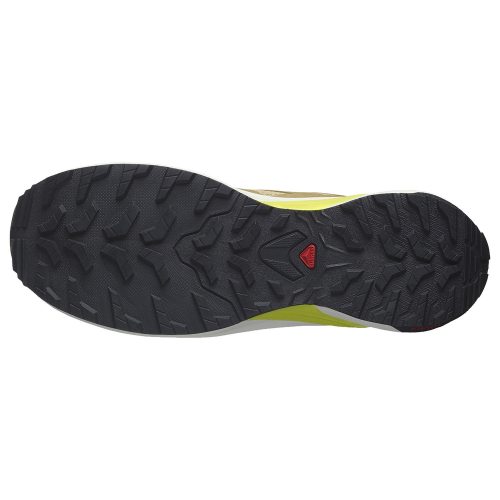 Salomon кроссовки мужские X-Adventure