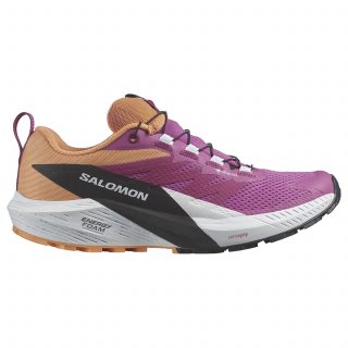 Salomon кроссовки женские Sense Ride 5 Gtx