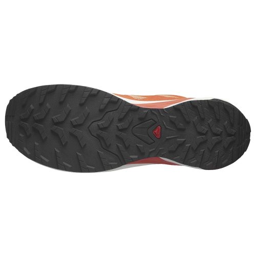 Salomon кроссовки мужские X-Adventure