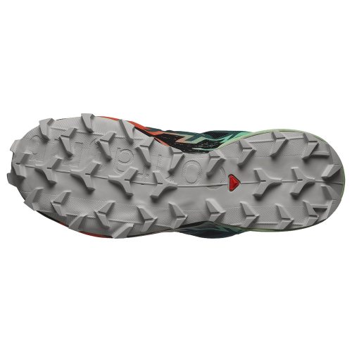 Salomon кроссовки женские Speedcross 6 GTX