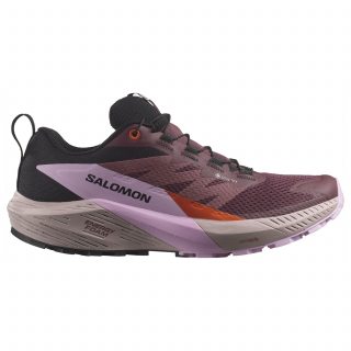 Salomon кроссовки женские Sense Ride 5 GTX