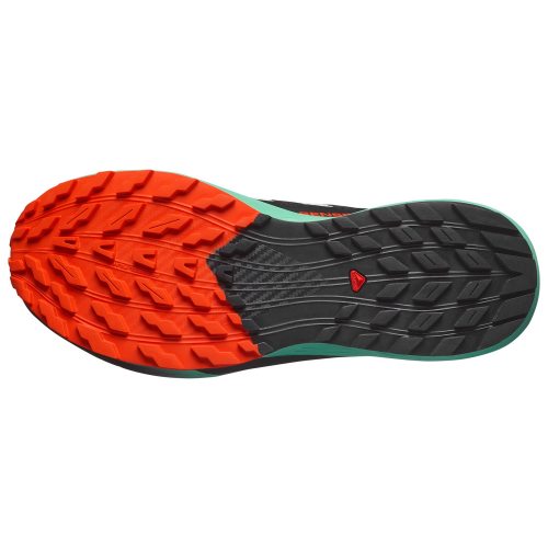 Salomon кроссовки мужские Sense ride 5