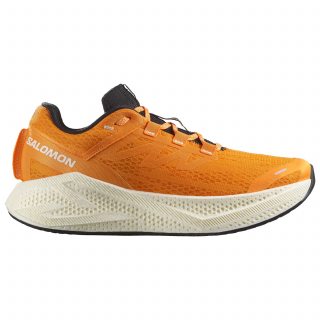 Salomon кроссовки мужские Aero glide 3