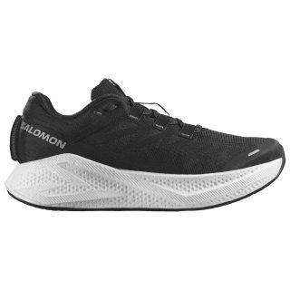 Salomon кроссовки мужские Aero glide 3