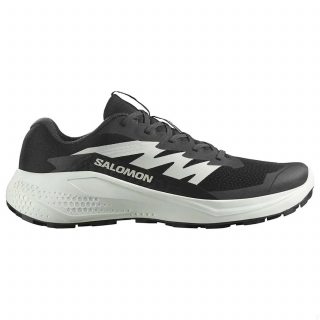 Salomon кроссовки мужские Alphaglide