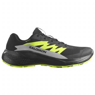 Salomon кроссовки мужские Alphaglide gtx