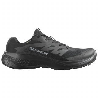 Salomon кроссовки мужские Alphaglide gtx