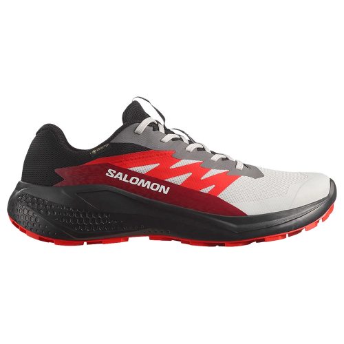 Salomon кроссовки мужские Alphaglide gtx
