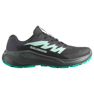 Salomon кроссовки женские Alphaglide GTX