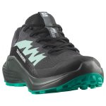Alphaglide GTX