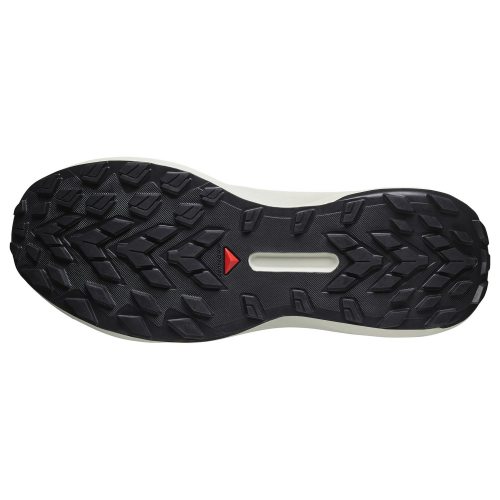 Salomon кроссовки мужские Genesis gtx