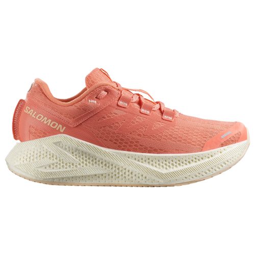 Salomon кроссовки женские Aero Glide 3