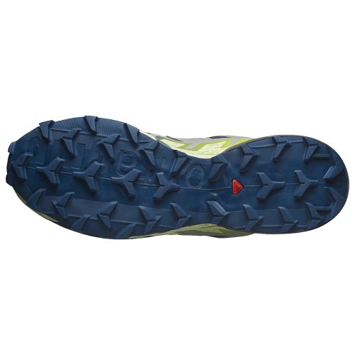 Salomon кроссовки мужские Speedcross 6