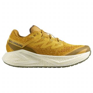 Salomon кроссовки мужские Aero Glide 3 Grvl