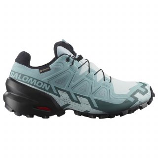 Salomon кроссовки женские Speedcross 6 GTX
