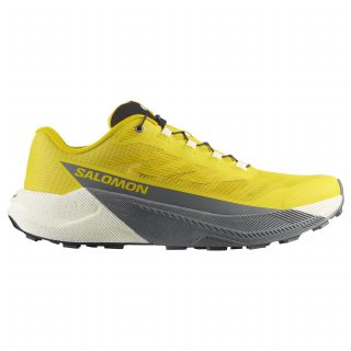 Salomon кроссовки мужские Pulsar