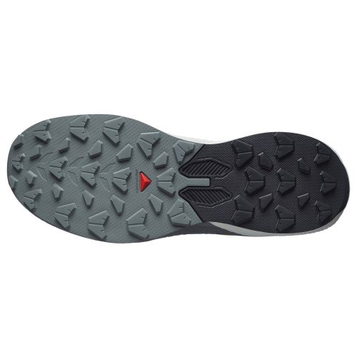 Salomon кроссовки мужские Pulsar