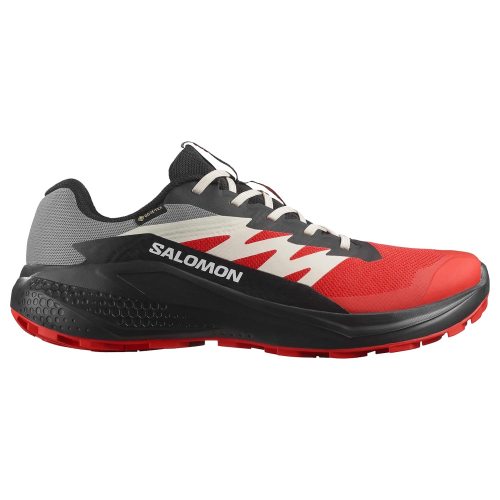 Salomon кроссовки мужские Alphaglide GTX