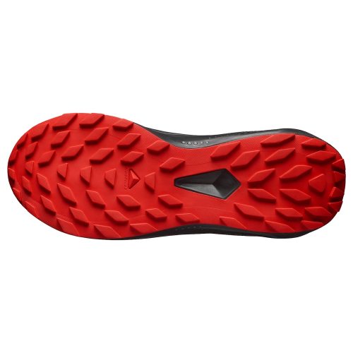 Salomon кроссовки мужские Alphaglide GTX