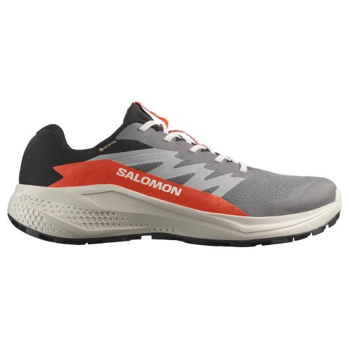 Salomon кроссовки мужские Alphaglide GTX