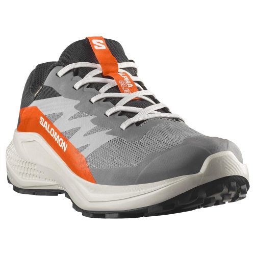Salomon кроссовки мужские Alphaglide GTX