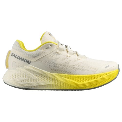 Salomon кроссовки мужские Aero Glide 3