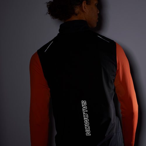 Salomon жилет мужской Light Vest