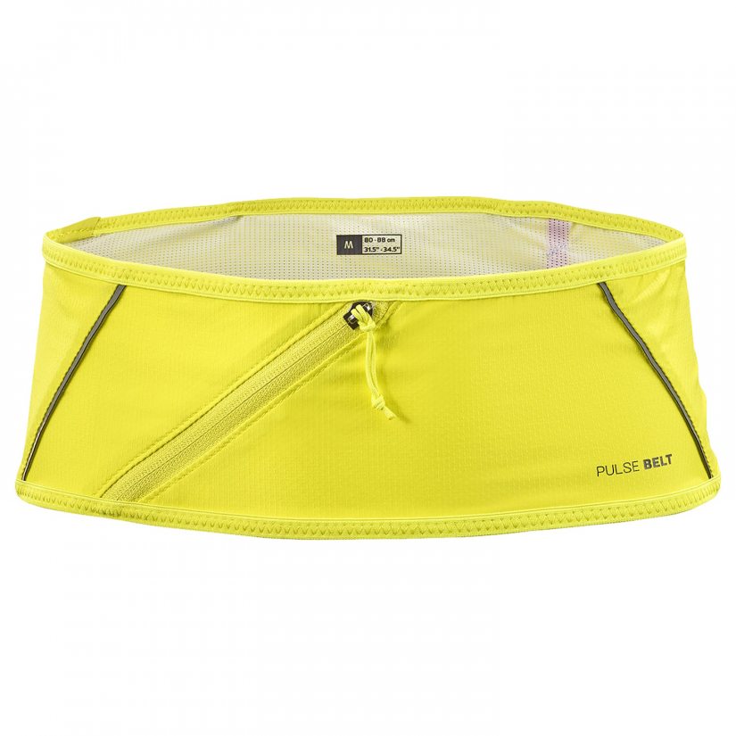 Pulse Belt