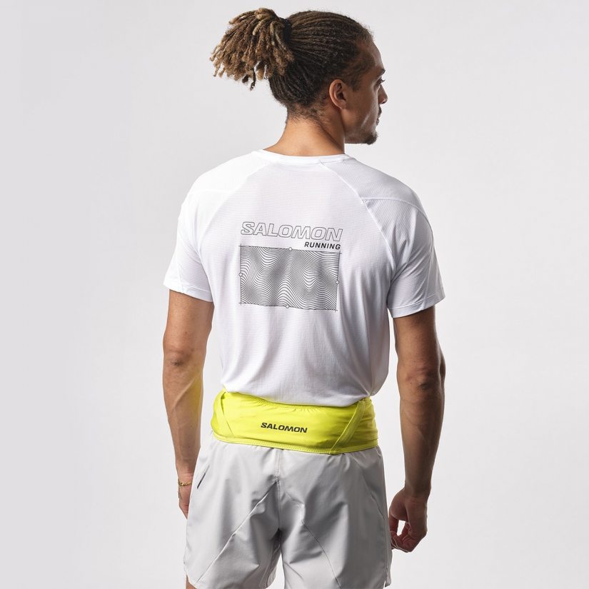 Pulse Belt