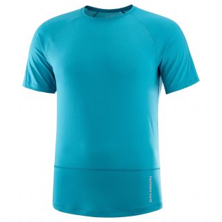 Salomon футболка мужская Cross Run