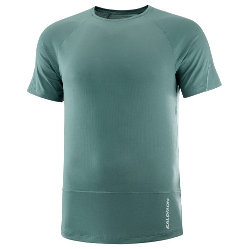 Salomon футболка мужская Cross Run