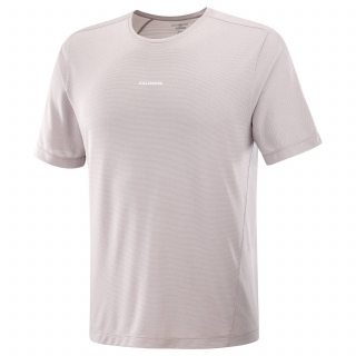 Salomon футболка мужская Shkout Core