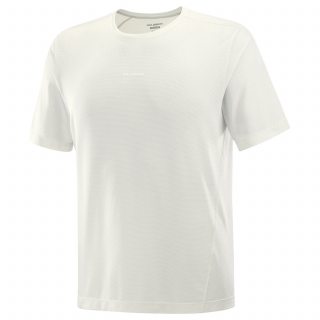 Salomon футболка мужская Shkout Core