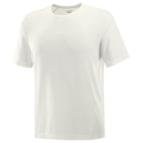 Salomon футболка мужская Shkout Core