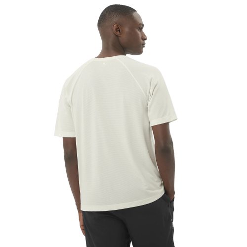 Salomon футболка мужская Shkout Core