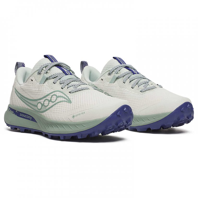 Peregrine 15 gtx
