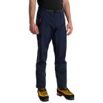 Alpine Guide GTX