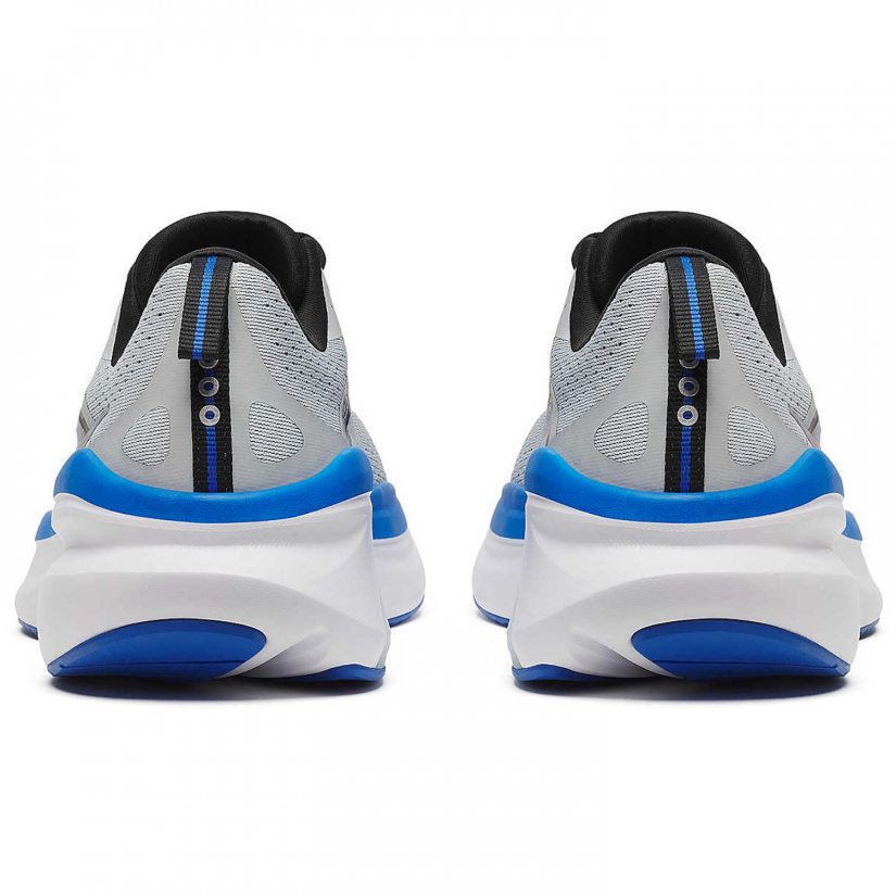 Omni 22