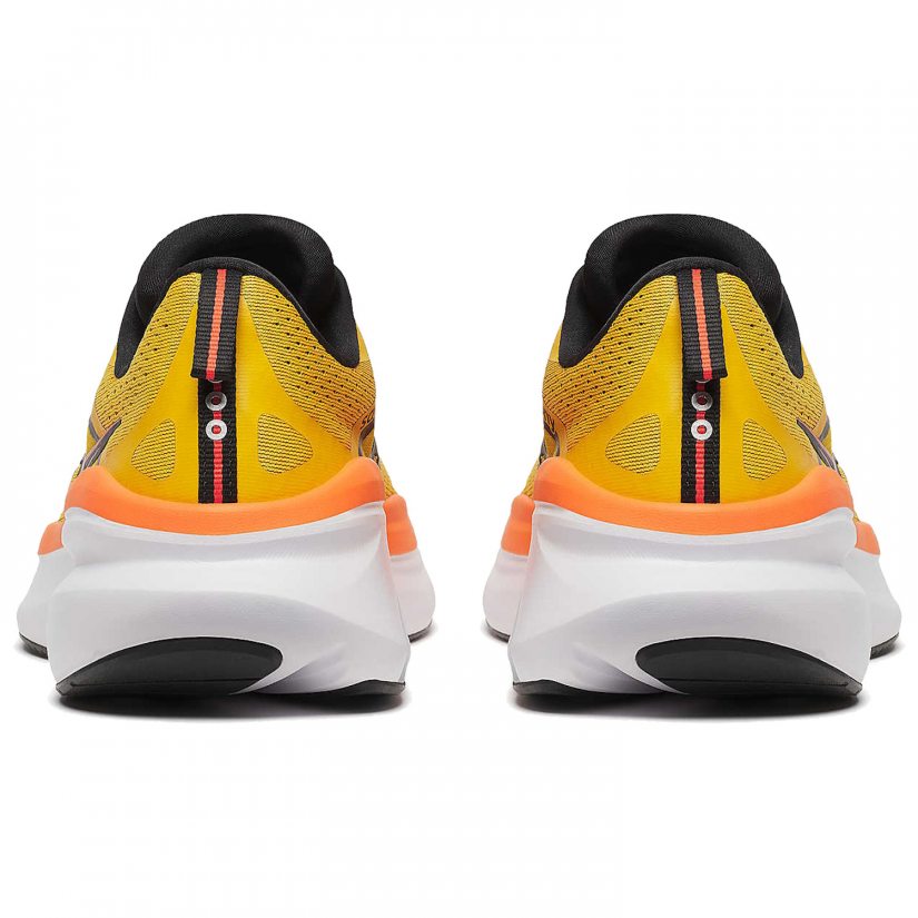Omni 22