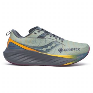 Saucony кроссовки мужские Triumph 22 gtx